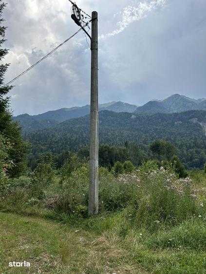 Teren de 1000 mp, în Cumpătu