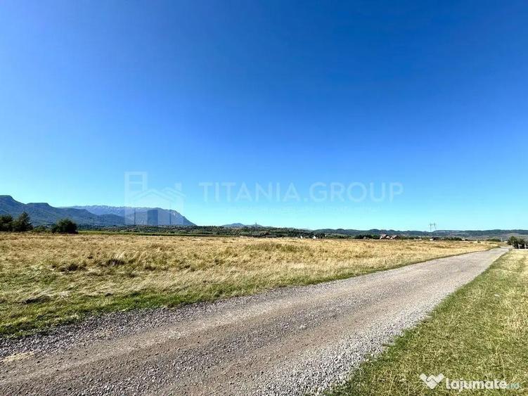 Teren de 3364 mp, în Sohodol