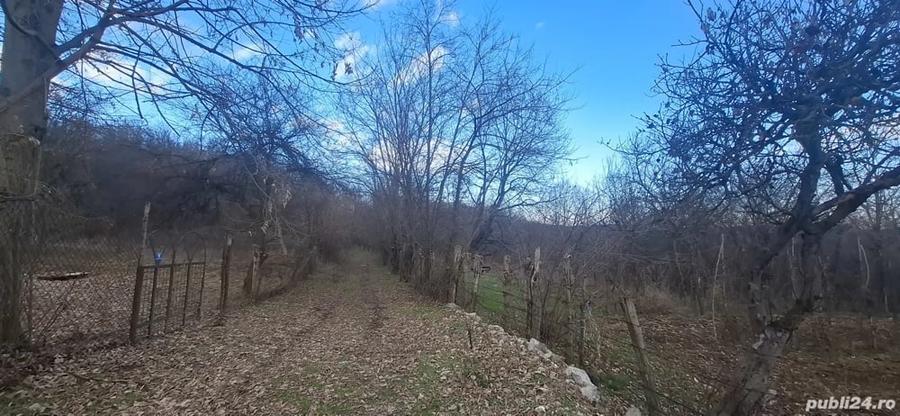 Teren de 4900 mp, în Central