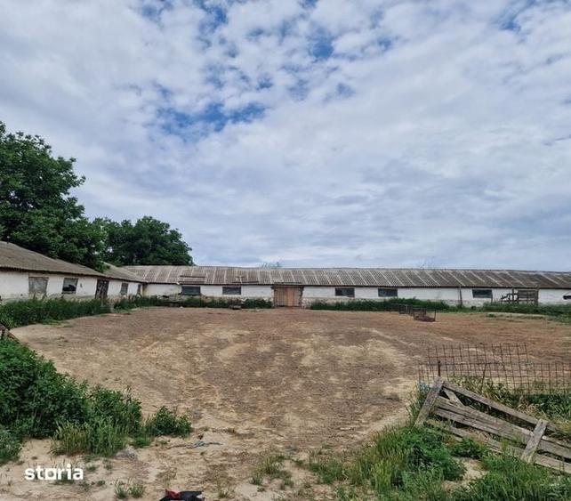 Teren de 1600 mp, în Rasova