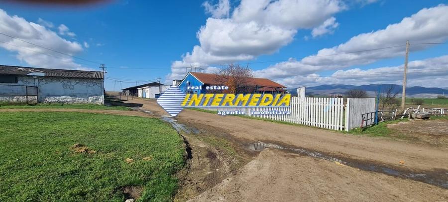Casă individuală cu 20 camere cu Teren 35000 Mp în Pianu