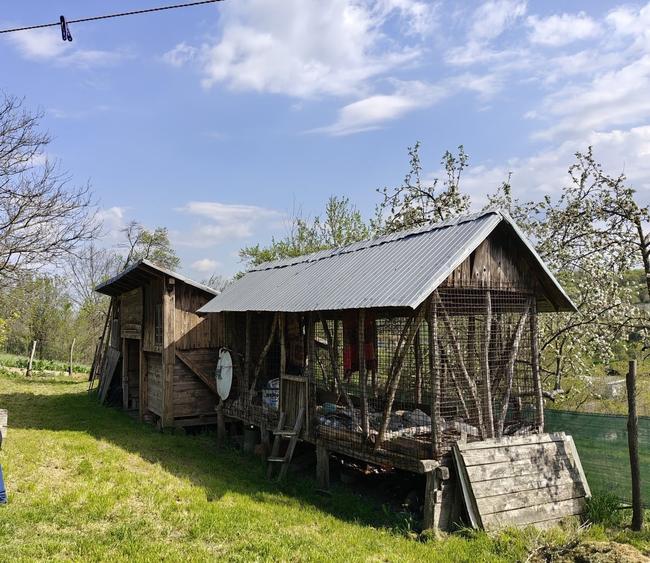 Casă cu 3 camere cu Teren 10300 Mp în Central