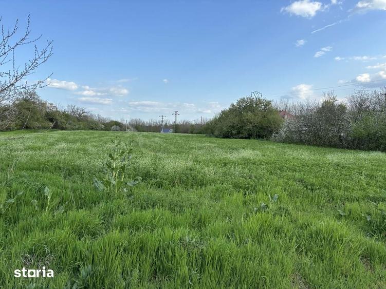 Teren de 860 mp, în Sinești