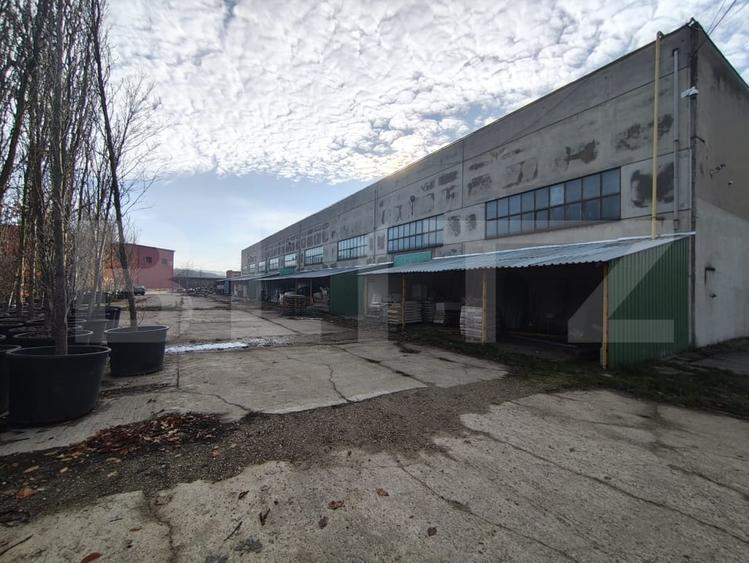Teren Construcții intravilan de 10062 mp, în Oncea