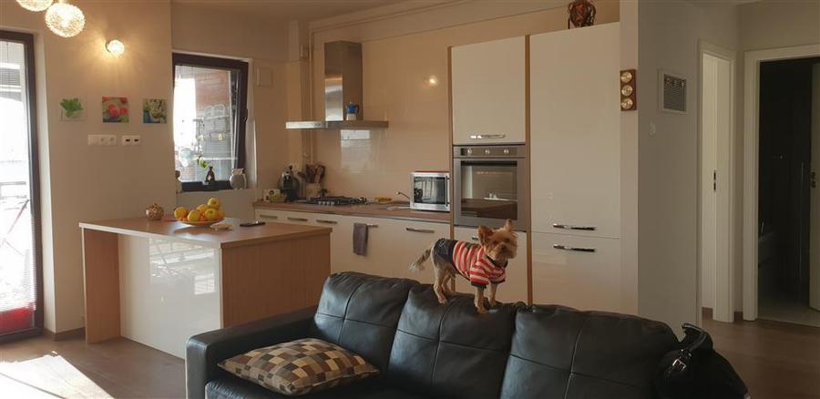 Apartament cu 2 camere decomandat, mobilat în Albert
