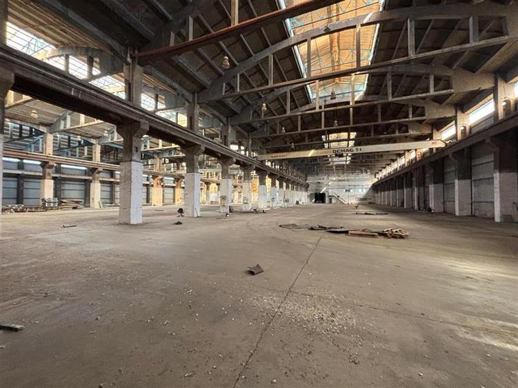 Spațiu industrial, de 17,500 mp, în Zona Liberă