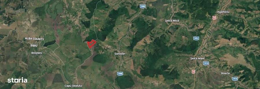 Teren de 320000 mp, în Șeica Mică