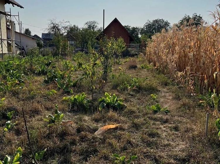 Casă individuală cu 2 camere cu Teren 1200 Mp în Mitocu Dragomirnei