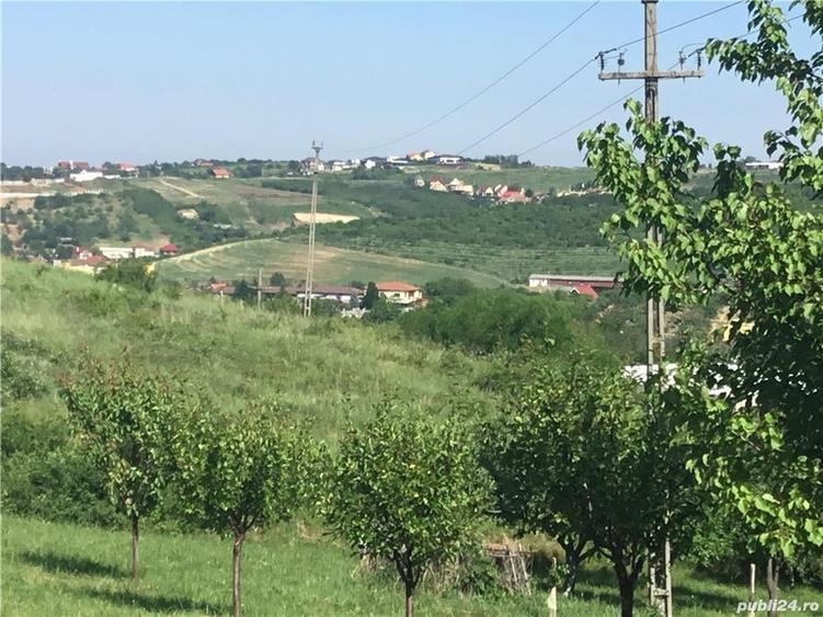 Teren în Central