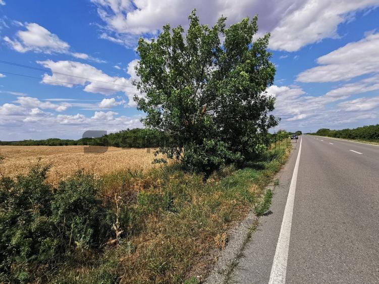 Teren agricol extravilan de 11600 mp, în Sud-Vest