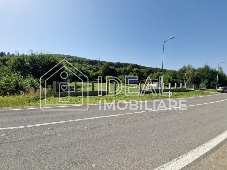 Teren agricol extravilan de 2300 mp, în Cârțișoara