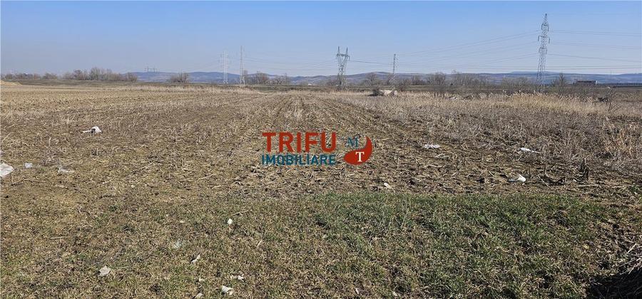 Teren intravilan de 6400 mp, în Ampoi 1