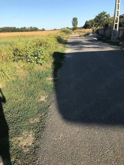 Teren de 3200 mp, în Crivăț