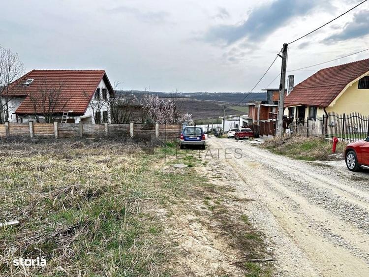Spațiu comercial, în Paleu