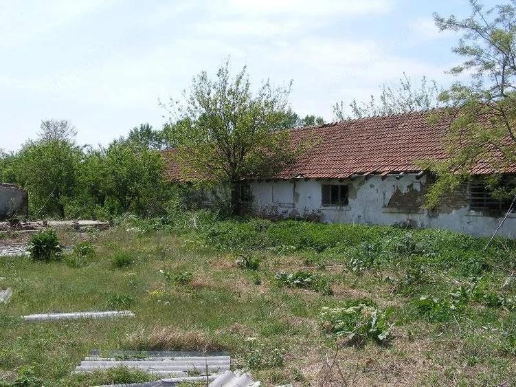 Teren de 9795 mp, în Rădoiești