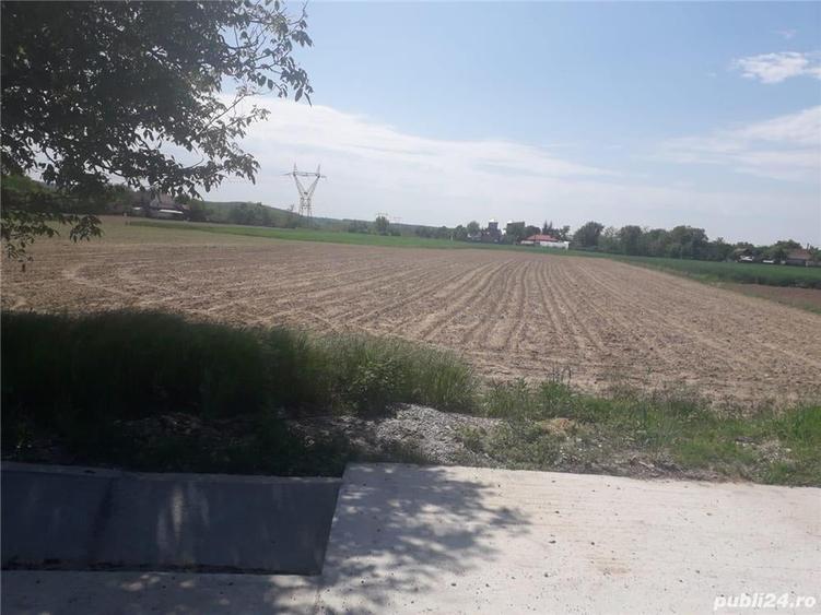 Teren de 5013 mp, în Galicea