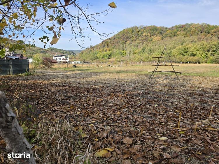 Teren de 7900 mp, în Central