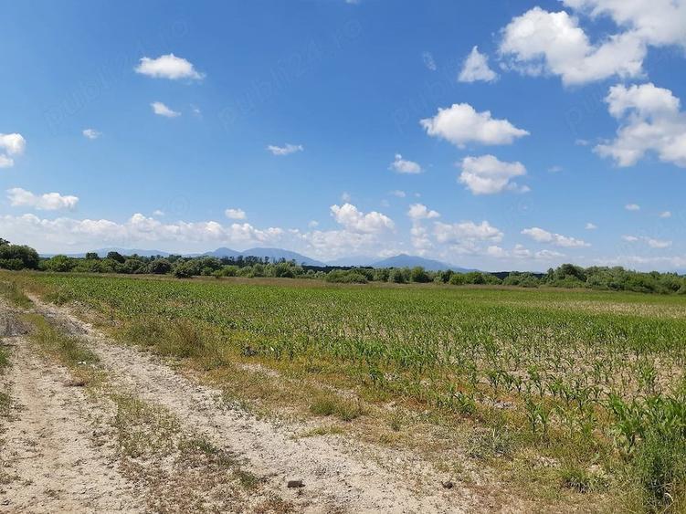 Teren de 20300 mp, în Prejmer