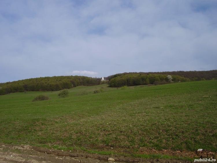Teren de 2200 mp, în Dobârlău