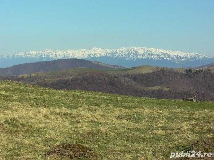 Teren de 10632 mp, în Paltin