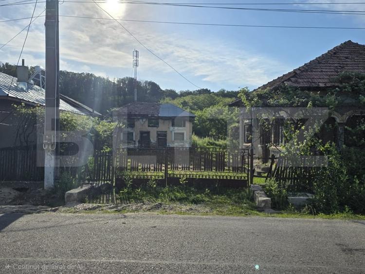 Teren Construcții intravilan de 1598 mp, în Cobia