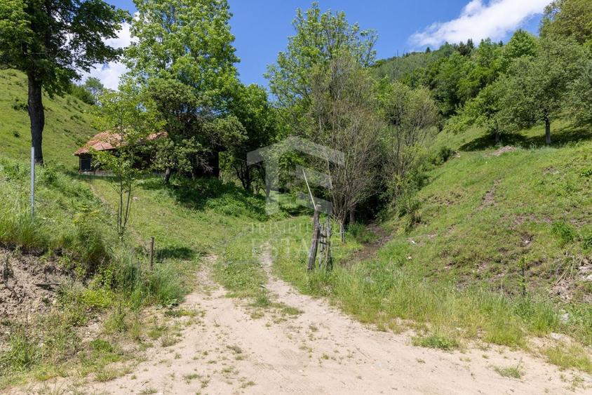 Teren Construcții intravilan de 11381 mp, în Moieciu