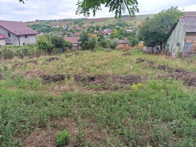 Teren de 900 mp, în Vânători