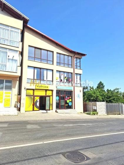 Spațiu comercial, de 255 mp, în Banat