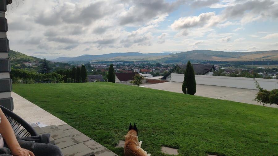 Duplex cu 5 camere cu Canalizare în Viișoara
