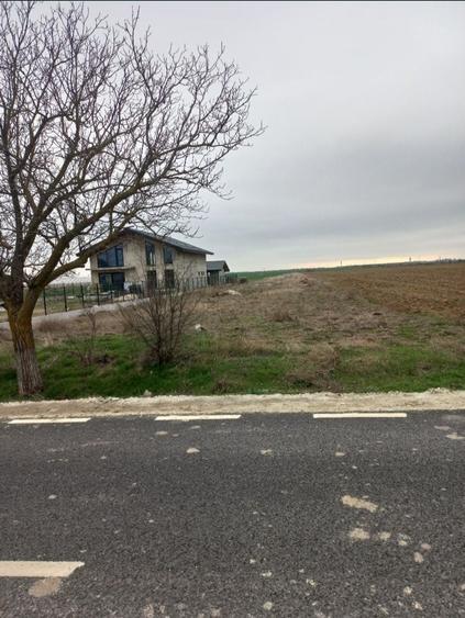 Teren de 2500 mp, în Varlaam