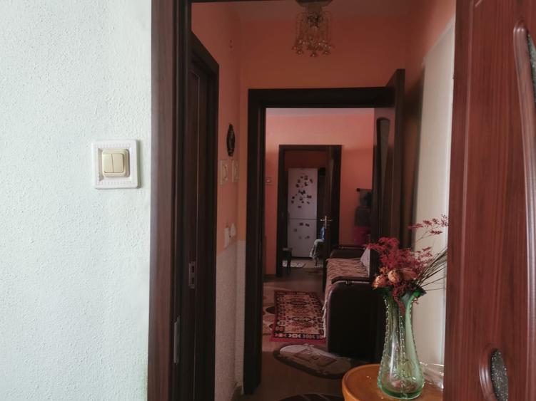 2 camere | Lucacesti, Moinesti, jud. Bacau - 7
