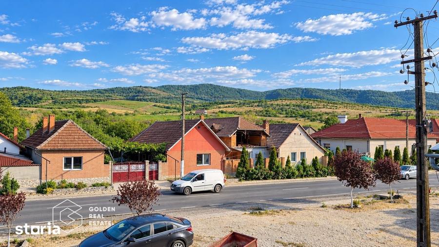 Casă cu 7 camere cu Teren 2929 Mp în Șiria