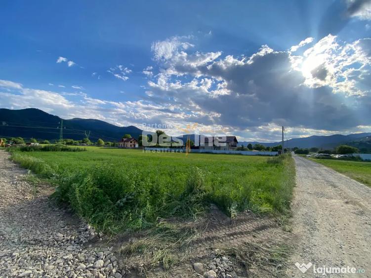 Teren de 735 mp, în Alexandru cel Bun