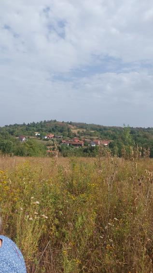 Teren Construcții intravilan de 2280 mp, în Șiștarovăț