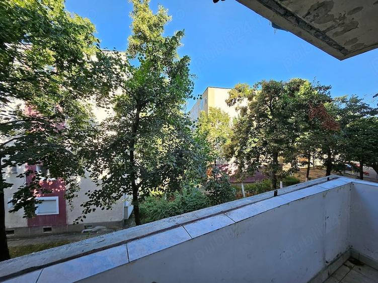 Apartament cu 2 camere semidecomandat în Micălaca