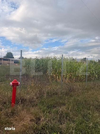 Teren intravilan 1000 mp, front 50 ml, Bunesti - Suceava - 3