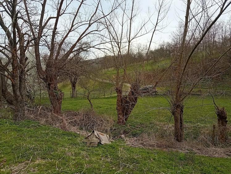 Casă cu Teren 7000 Mp în Poieni (Densuș)