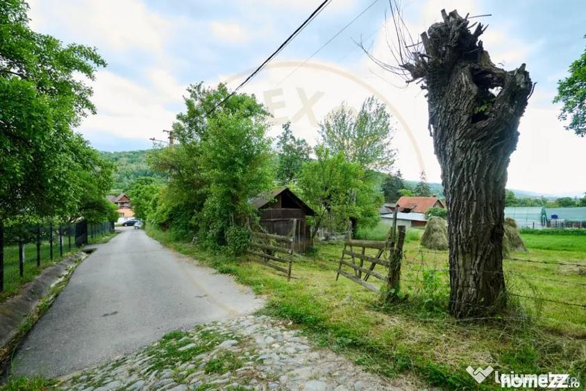 Casă cu 3 camere cu Teren 4696 Mp în Central