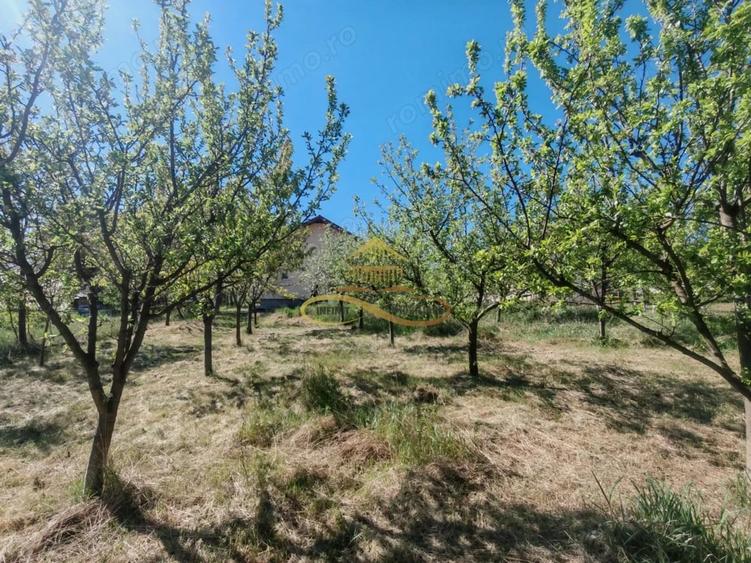 Casă cu Teren 10000 Mp în Roșiori