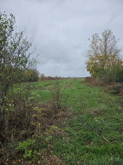 Teren de 18469 mp, în Butimanu