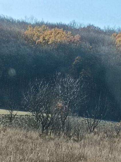 Teren agricol extravilan de 4000 mp, în Dragomirna