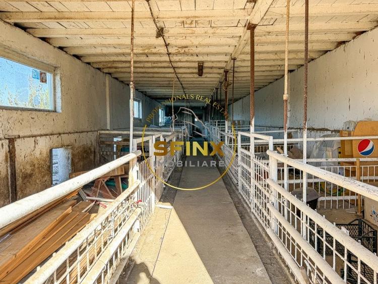 Spațiu industrial, de 1,111 mp, în Fântâna Doamnei