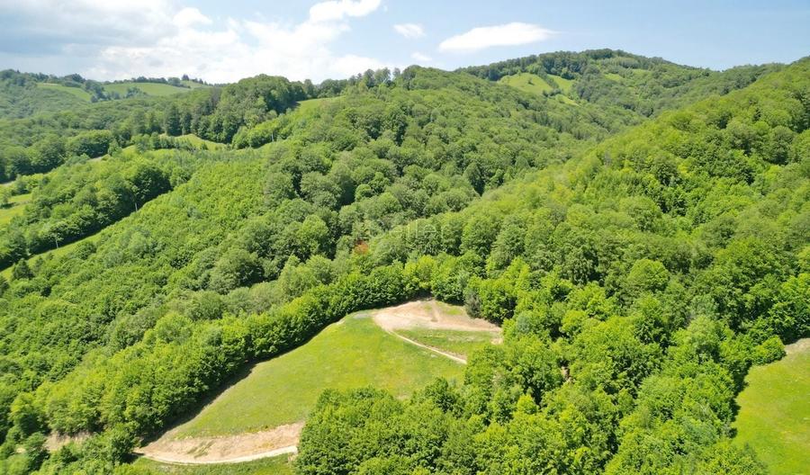 Teren Construcții extravilan de 16000 mp, în Poiana Mărului