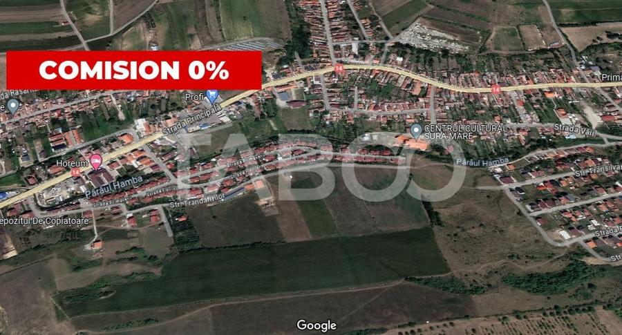 Teren agricol extravilan de 10000 mp, în Șura Mare