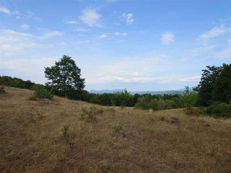 Teren agricol extravilan de 9059 mp, în Exterior Est