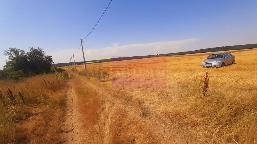 Teren Construcții intravilan de 2000 mp, în Brănești