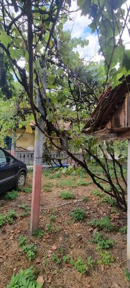 Casă individuală cu 2 camere cu Canalizare în Luncani