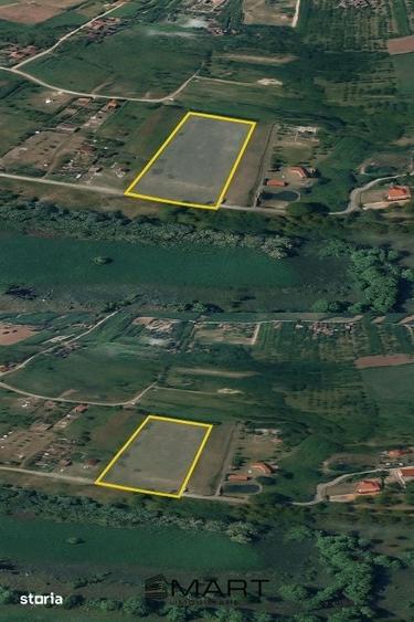 Teren de 8000 mp, în Roșia