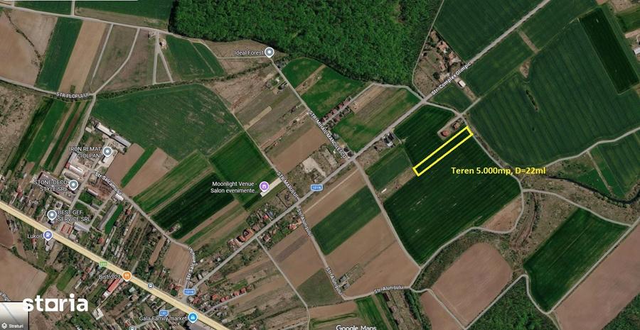 Teren de 5000 mp, în Ciolpani