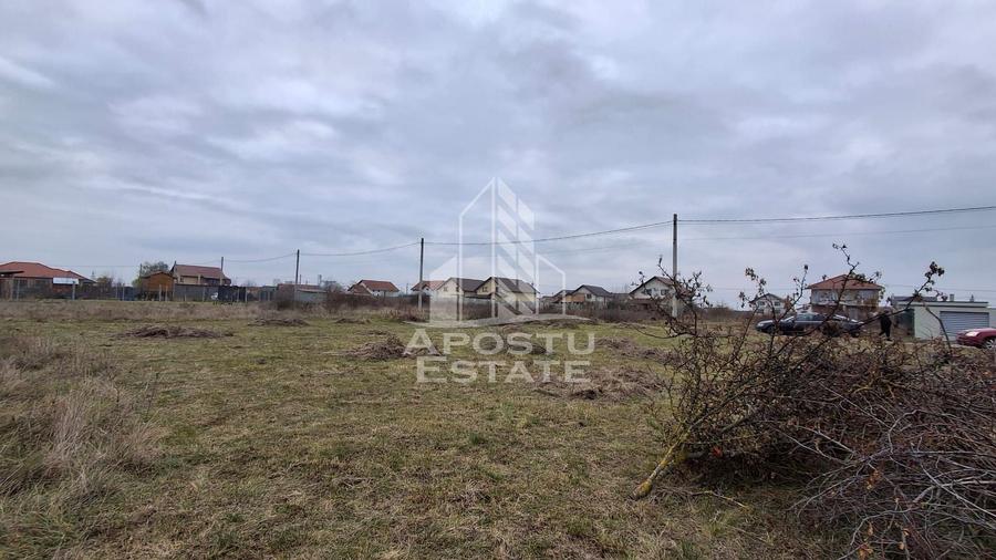 Teren Construcții intravilan de 500 mp, în Mândruloc